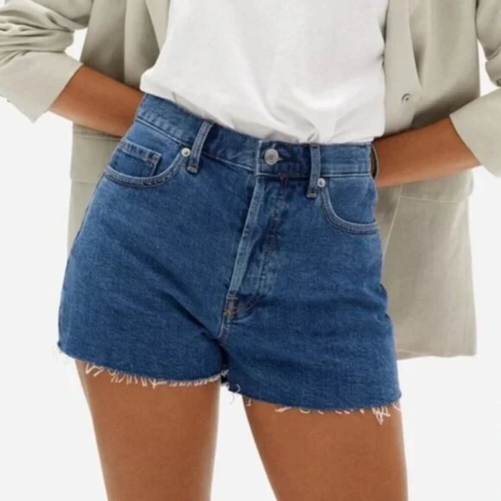 Everlane The Cheeky Shorts Size 26 Cut off Raw Hem Stretch Denim